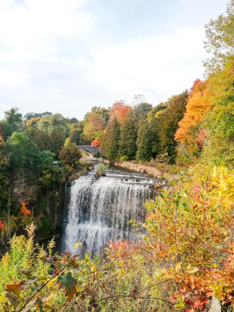 Webster Falls near Dundas Peak trail