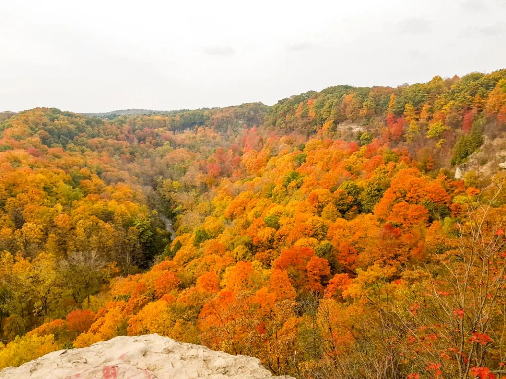 Fall colors from the dundas peak trail near toronto