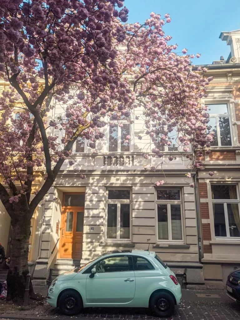 Cute houses in bonn germany with cherry blossom trees outside, a cute little teal car parked in front