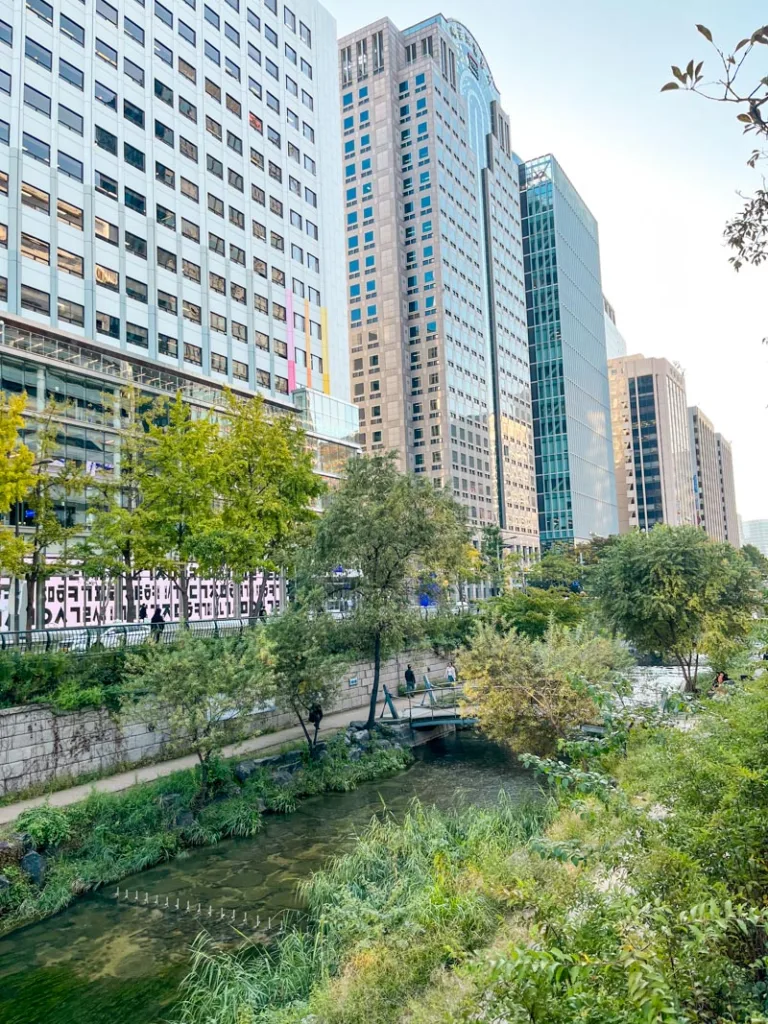 tree-lined stream at the Cheonggyecheon, urban park, in seoul