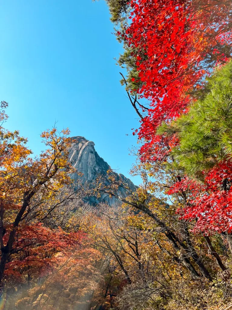 view of the peak through brightly colored fall leaves at the bukhansan national park in seoul