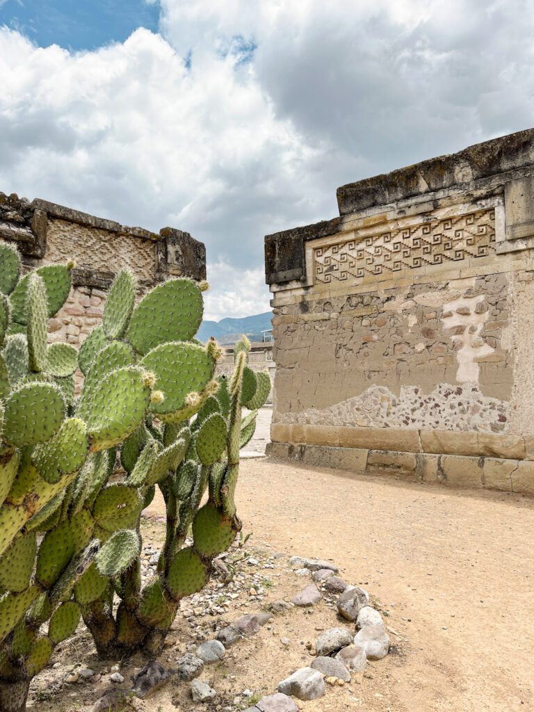 Cacti and Zapotec ruins at Mitla archeologial site