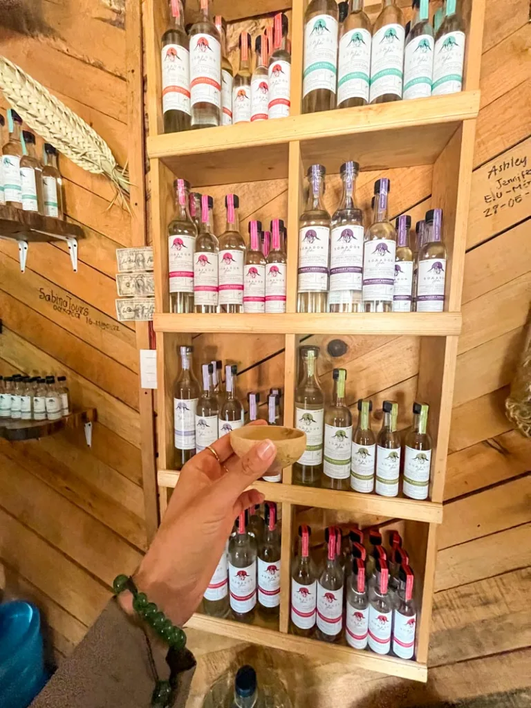 hand holding a small cup for mezcal tasting at a mezcal destillery in oaxaca