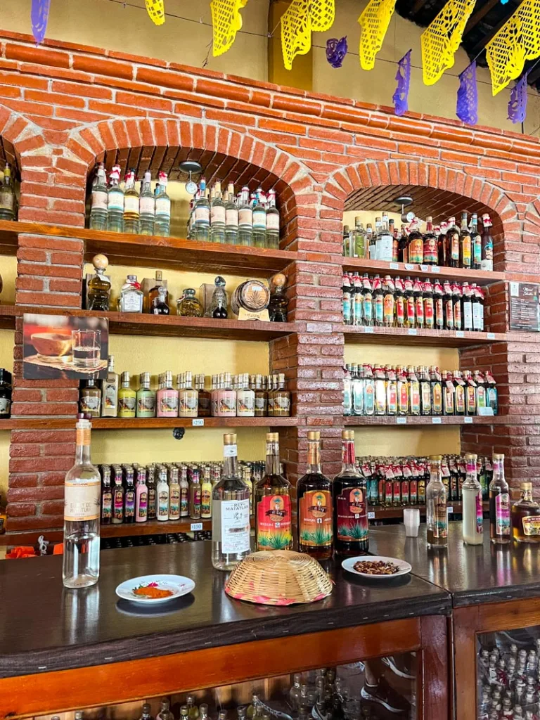 a mezcal tasting at a distillery with shelves behind the bar full of mezcal bottles in oaxaca