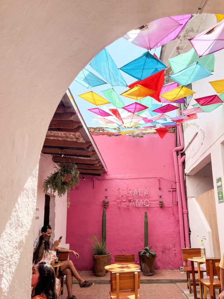 Pink alley with a neon sign saying Oaxaca Te Amo in Oaxaca City Center