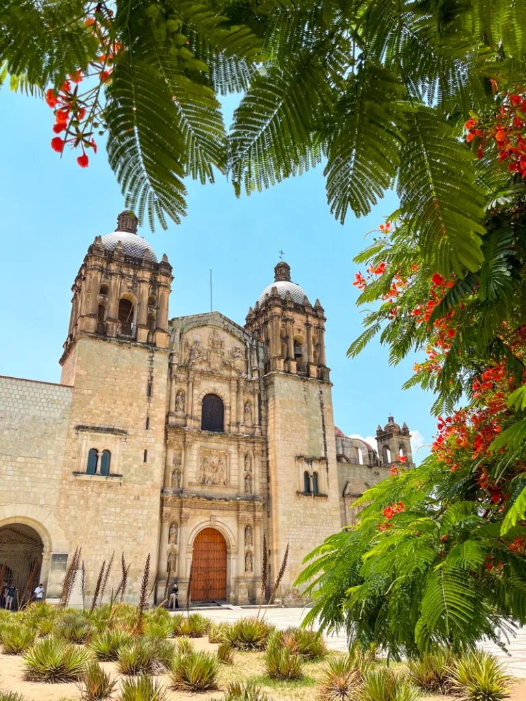 view of the santo domingo church in oaxaca city framed by tree branches