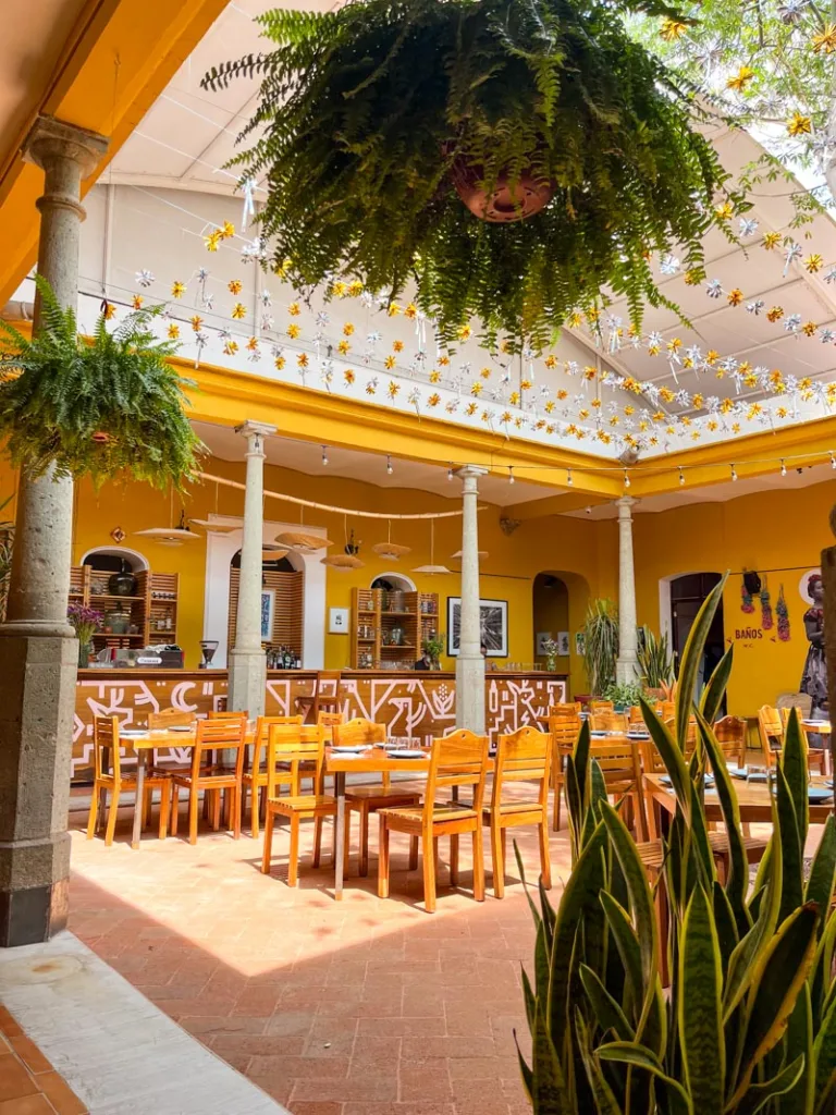 Stylish interior patio of Zadunga Sabor Istmeño Centro in Oaxaca City