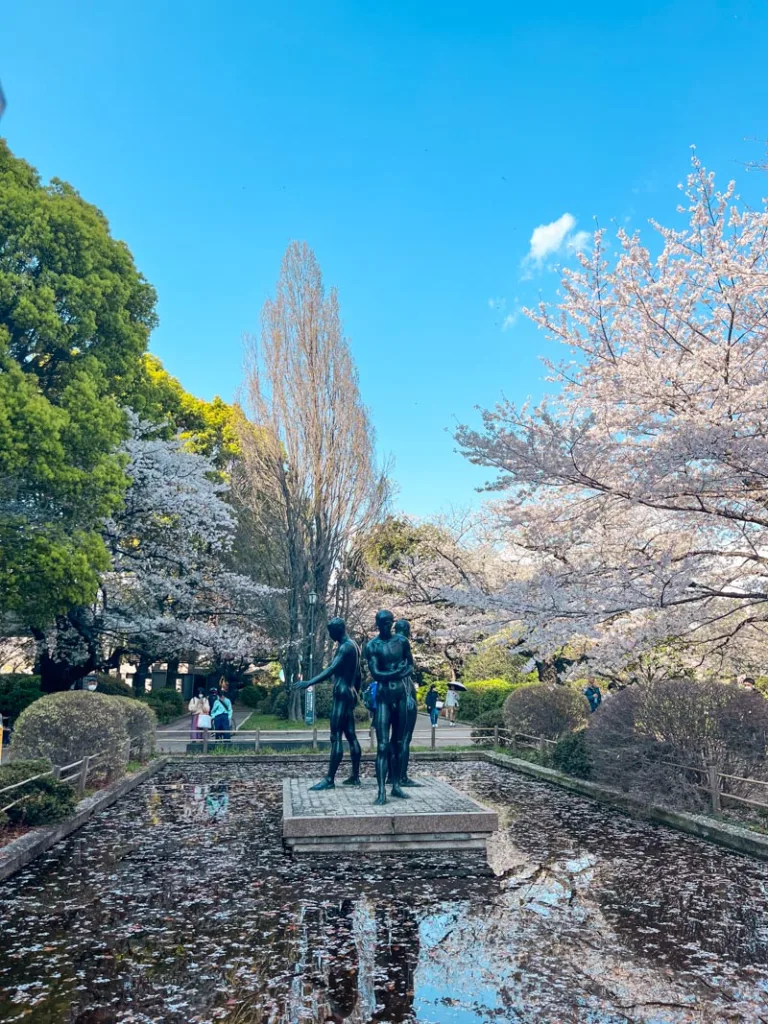 A fountain covered in cherry blossoms petals at the Chidorigafuchi Sakura Park in Tokyo