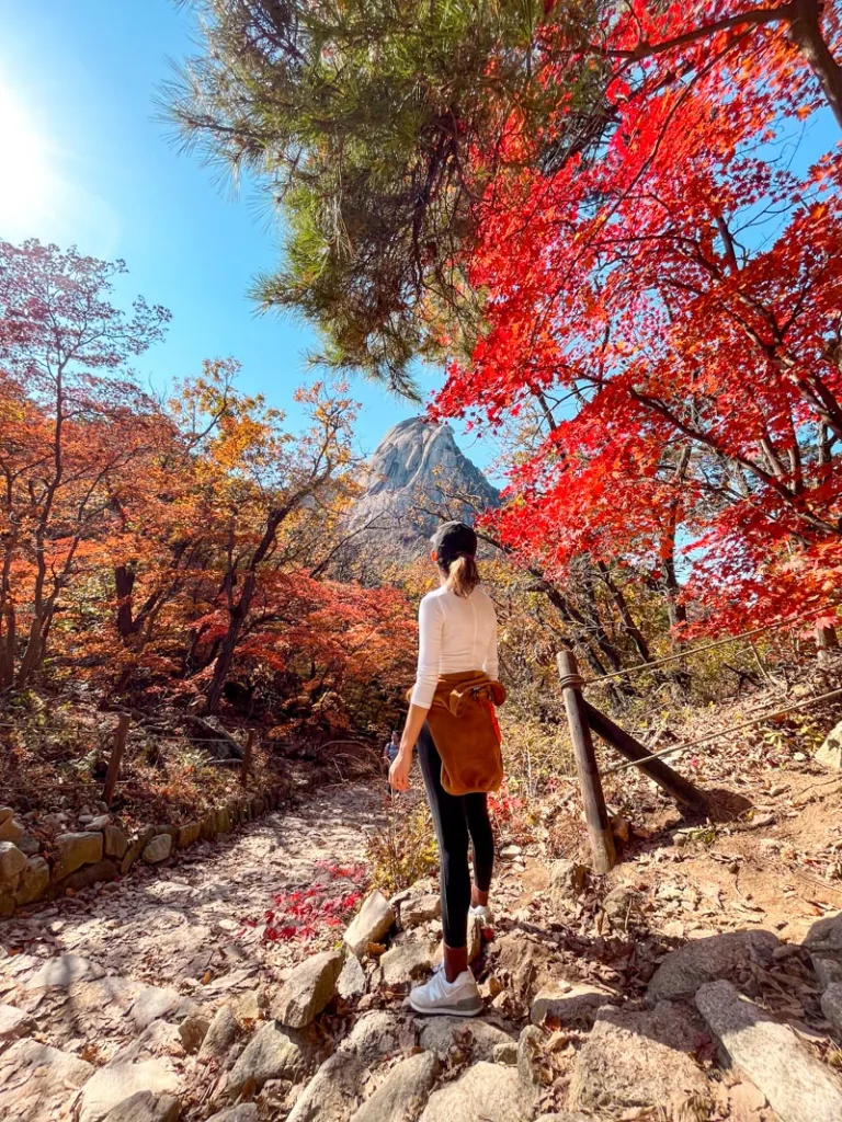 woman standing on a rock in the middle of the bukhansan national park surrounded by brightly colored autumnal trees
