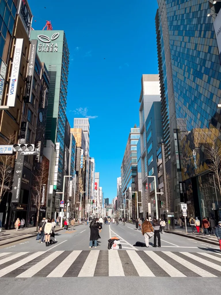 people walking on a pedestrian only avenue in ginza, tokyo