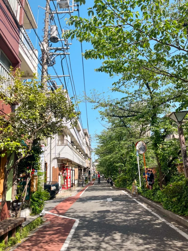 tree lined pathway in nakameguro, tokyo