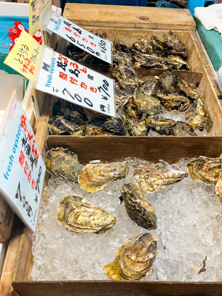 massive oysters on display at the tsukiji fish market in tokyo