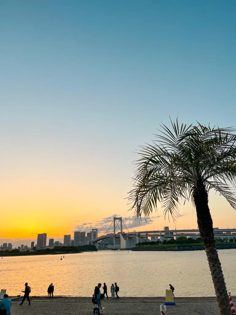 view of sunset from daiba beach in tokyo, with the skyline in the back and a palm tree in the front