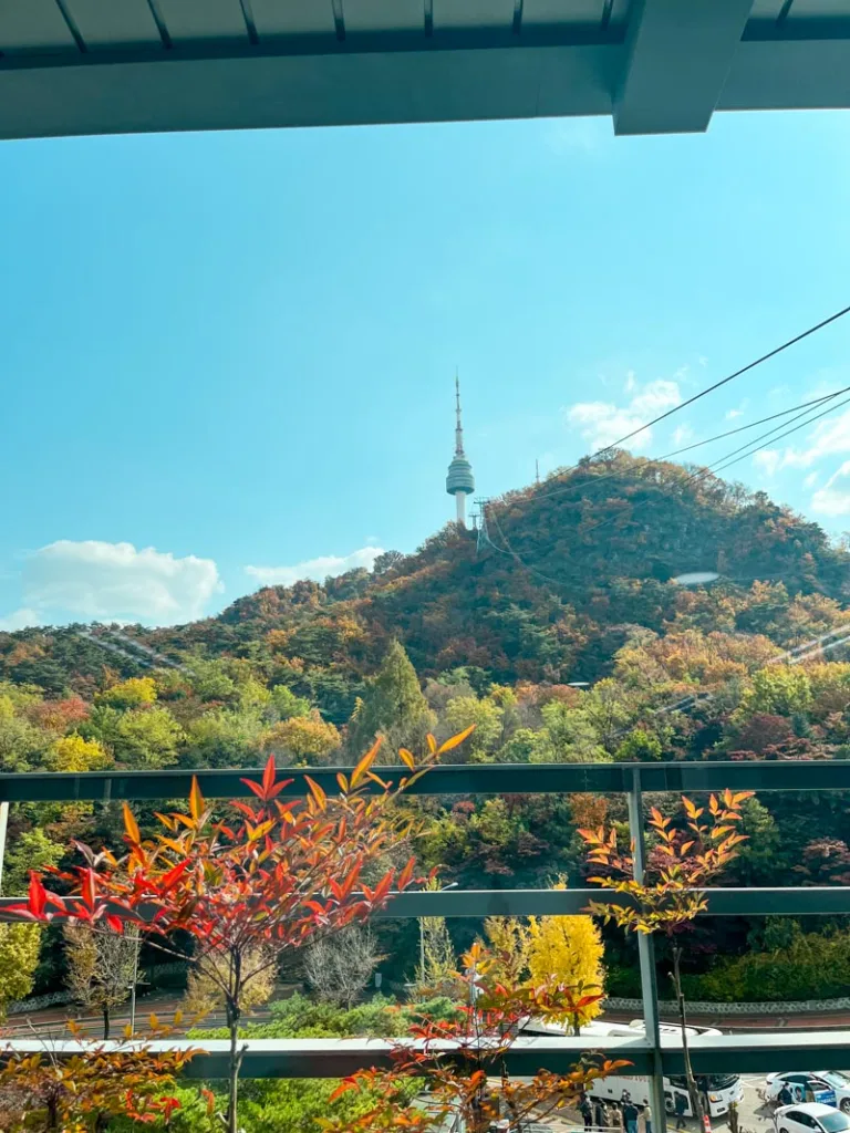 colorful fall foliage on the N-seoul tower hill with the tower in the distance