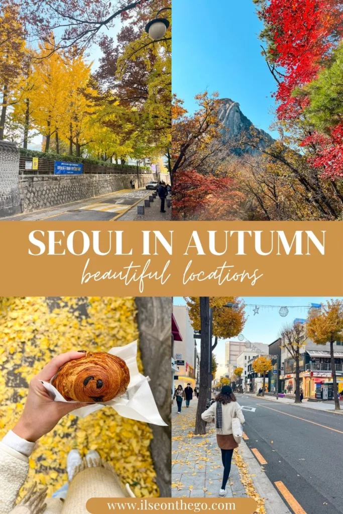 pinterest pin with picture collage of autumn in seoul