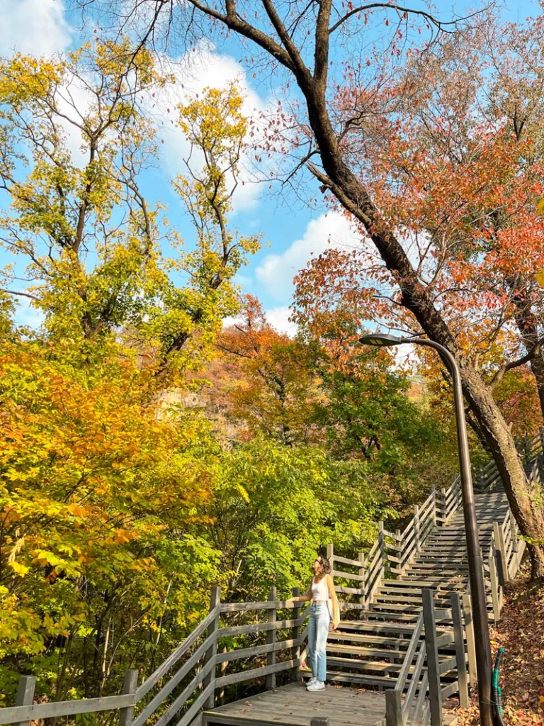 woman walking down the stairs at the n-seoul tower tower park surrounded by fall foliage