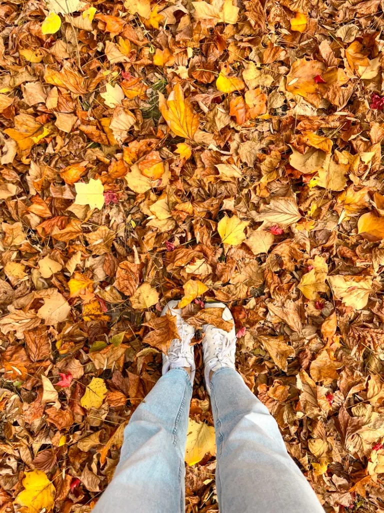 view two feet standing on a floor covered in golden fallen autumn leaves in nami island