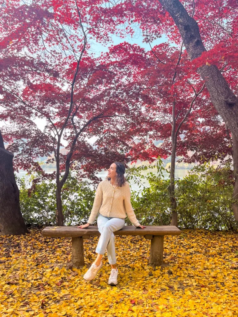 woman sitting on a bench surrounded by red maple trees above and the floor is covered with yellow ginkgo tree leaves at nami island, south korea