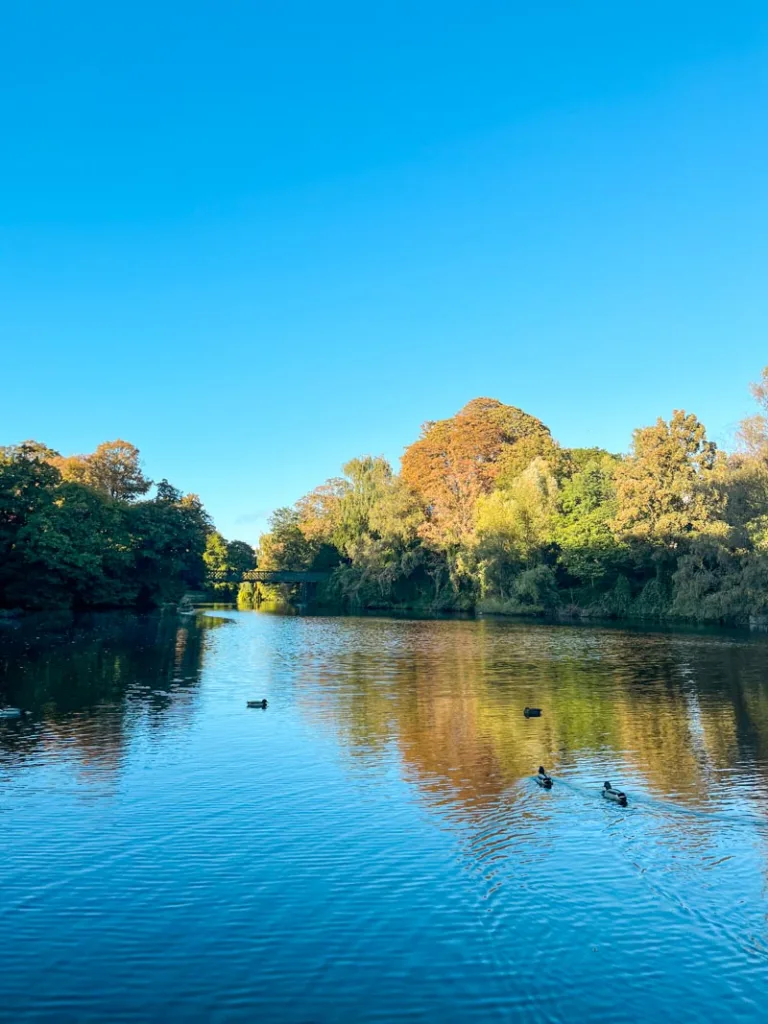 view of the lake surrounded by trees at Orstedsparken in copenhagen