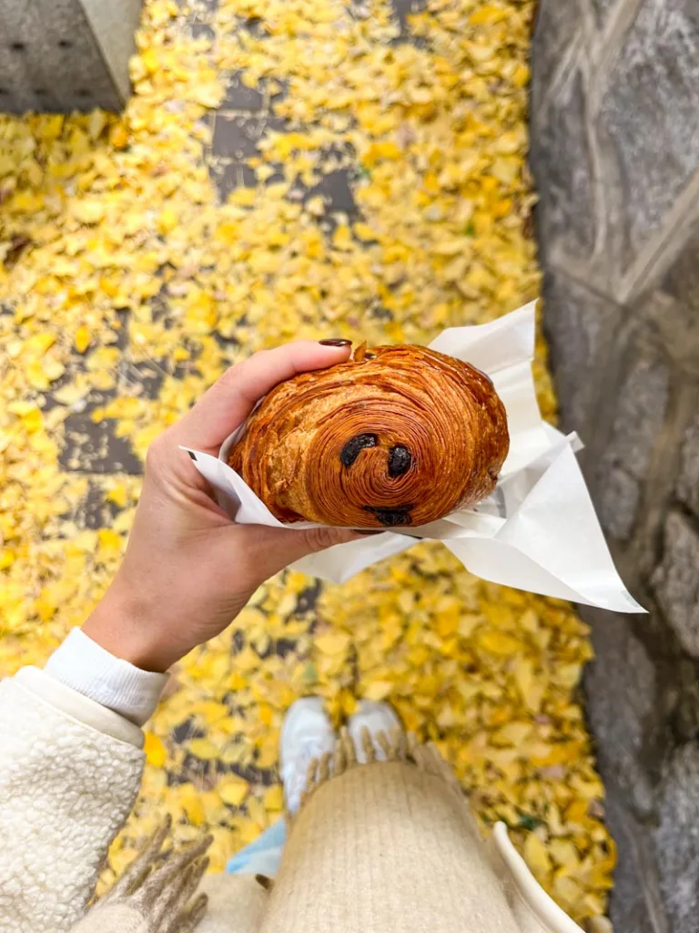 hand holding a pain au chocolate from salt 24 in seoul, with a view of bright yellow ginkgo leaves on the floor