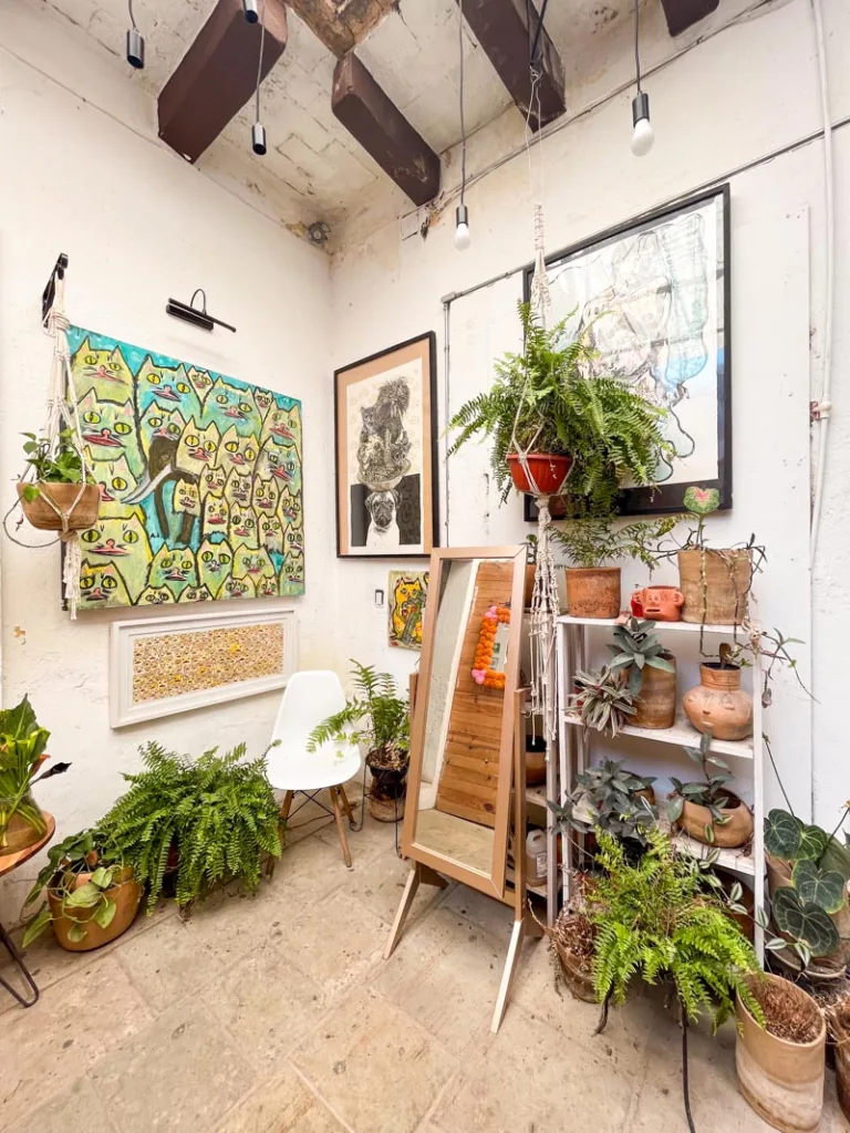 a room corner with plants and art on the wall at marias arte and diseno in oaxaca city