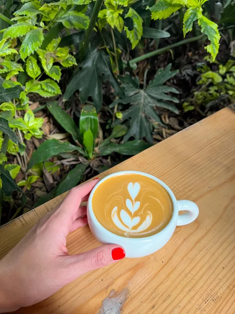 hand holding a latte on wooden bar next to some greenery at compay coffee shop in mexico city