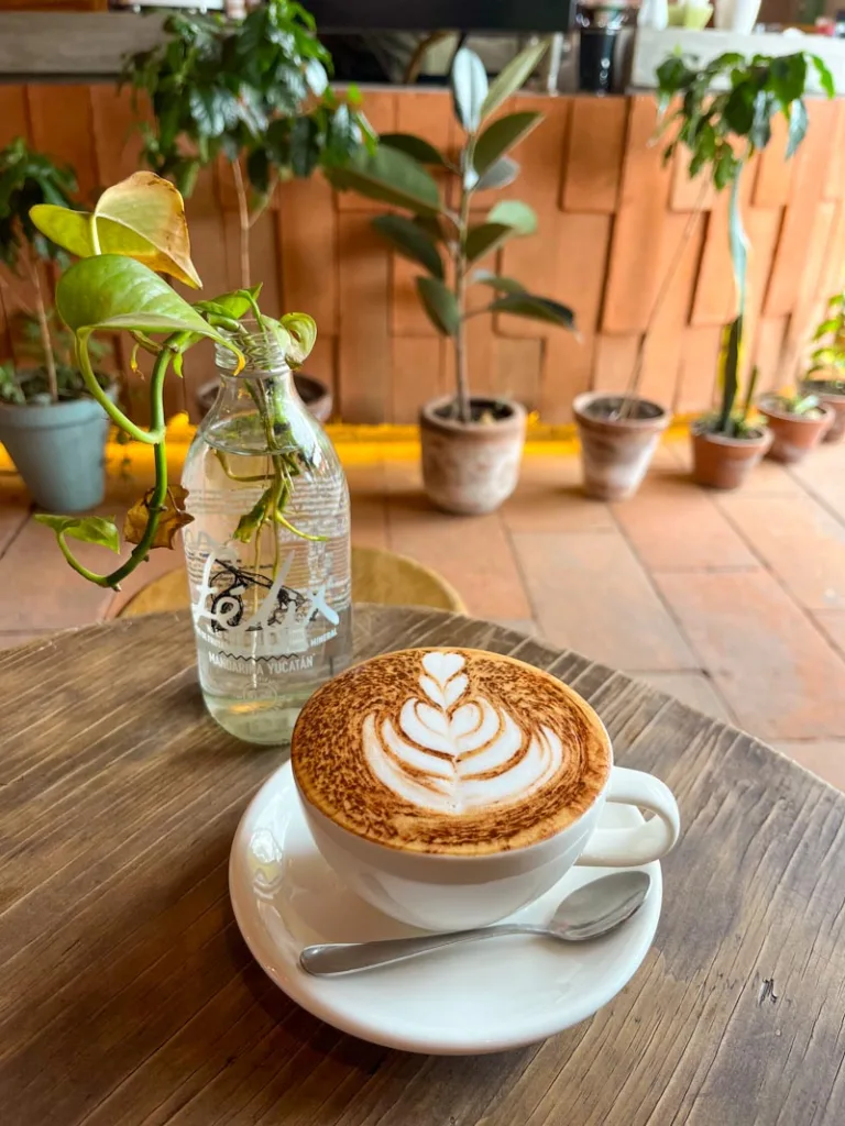 a latte served on a white mug, view of plants on the cafe counter at cumbe coffee shop in mexico city