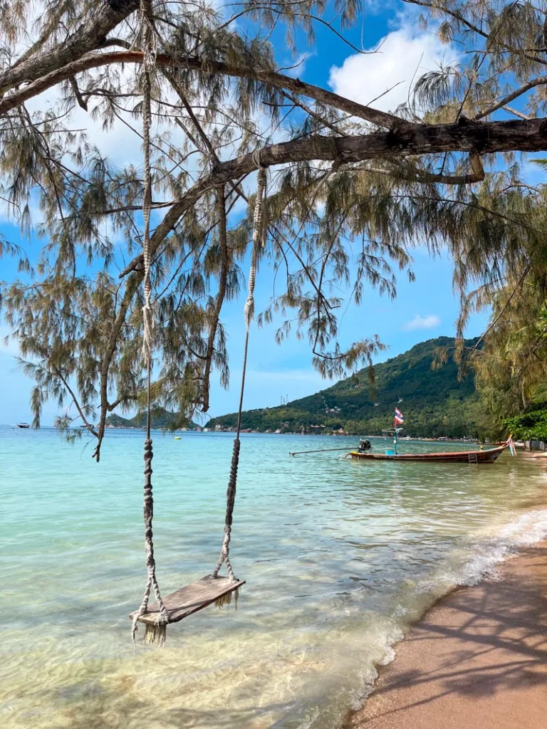 swing hanging from a tree branch over the water at sairee beach in koh tao, thailand