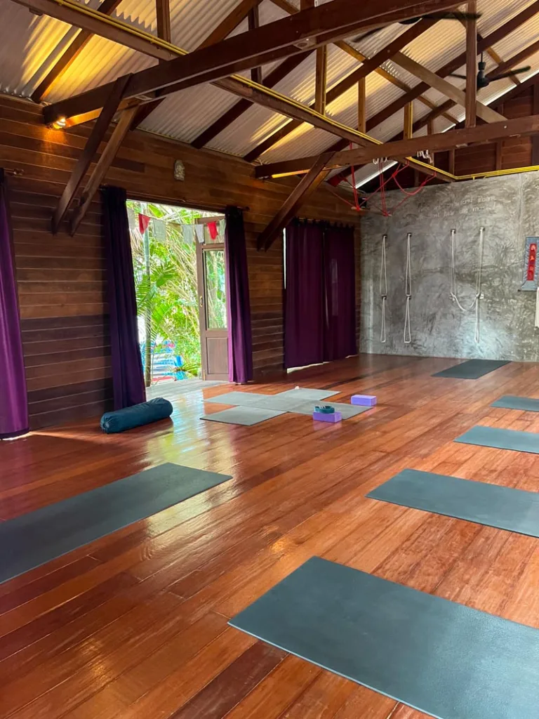 yoga mats laid out on a wooden floor at shambhala yoga studio in koh tao, thailand