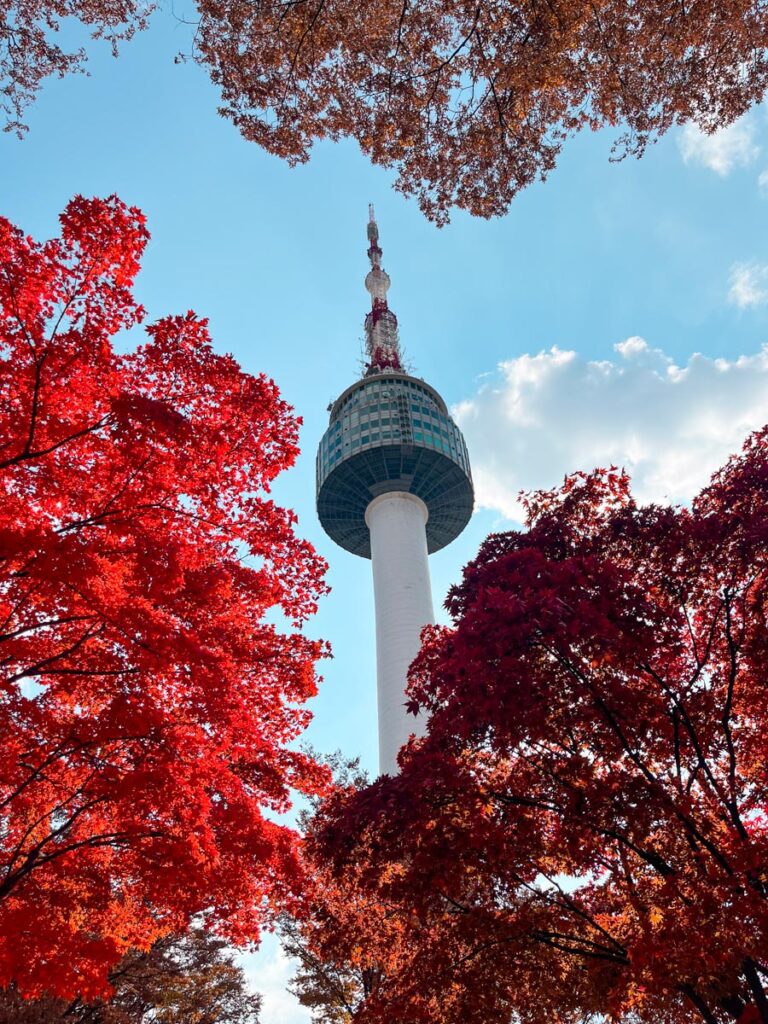 N Seoul Tower framed by vibrant red autumn leaves