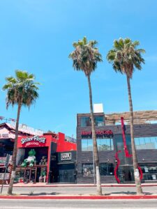 Cabo San Lucas vs. San Jose del Cabo: Which To Choose? - Ilse On The Go