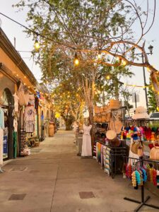 Cabo San Lucas vs. San Jose del Cabo: Which To Choose? - Ilse On The Go