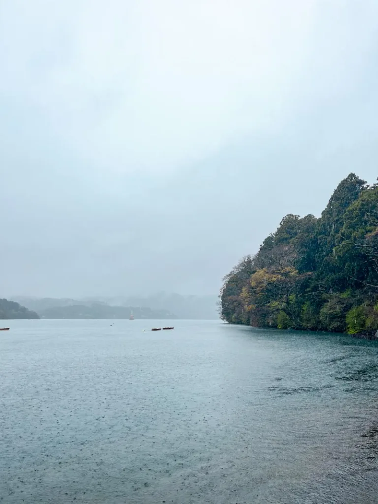 serene view of a gloomy day in Ashi lake