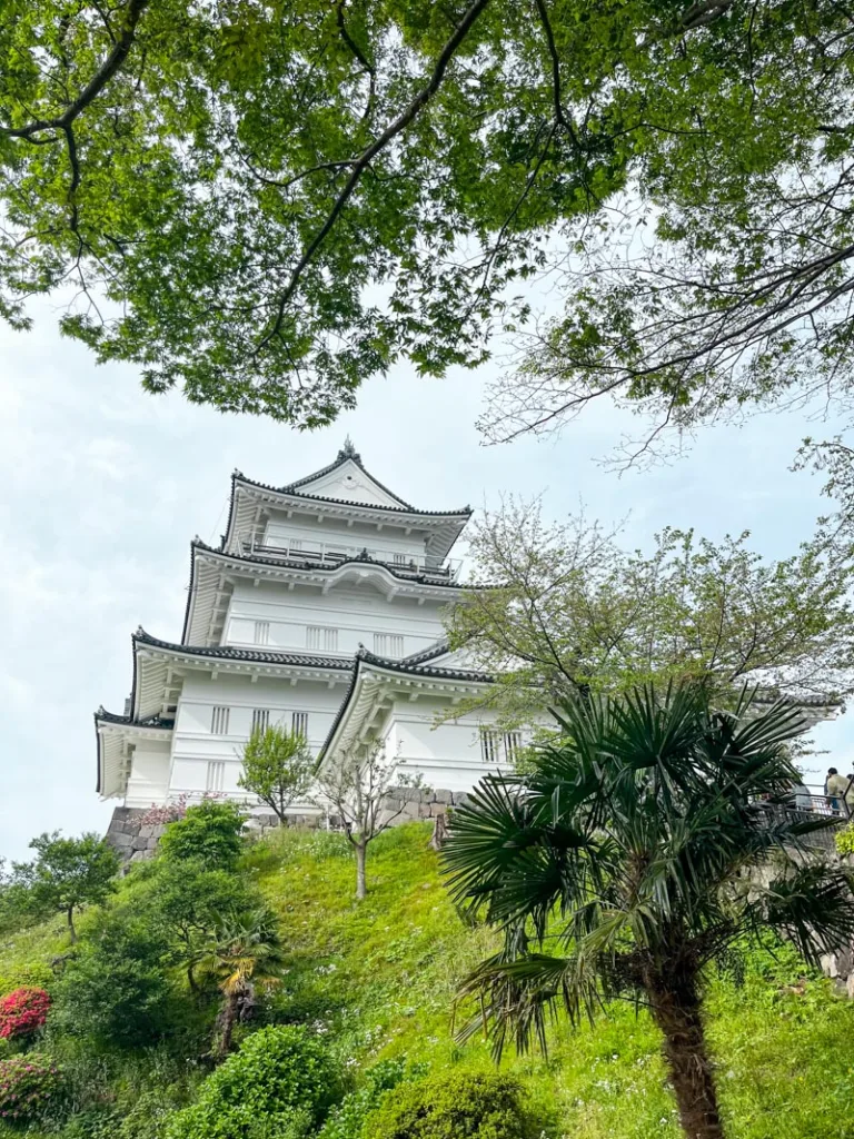 The view of Odawara castle through the trees