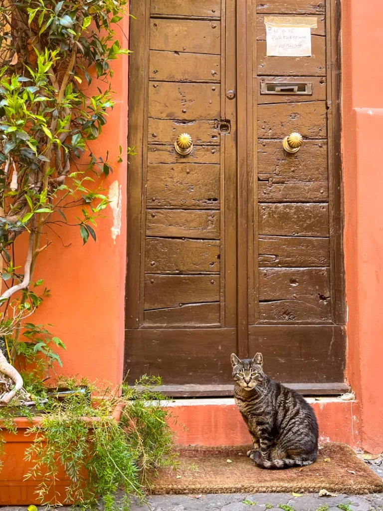 Cat outside an apparment door in Trastevere