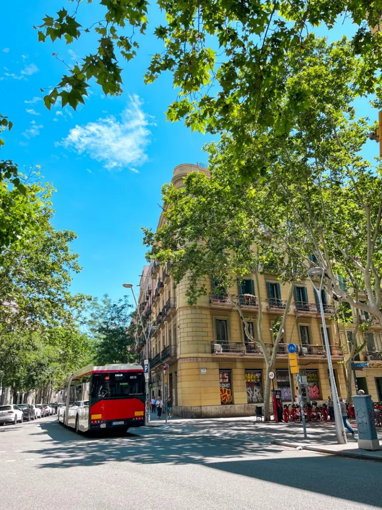 cute streets of el born in barcelona lined with trees