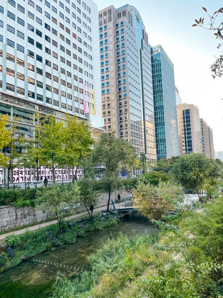 Cheonggyecheon Stream, a green area in the middle of seoul, south korea