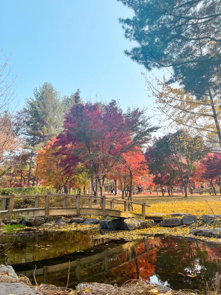 view of a small lake and colorful autumnal trees at the back on nami island