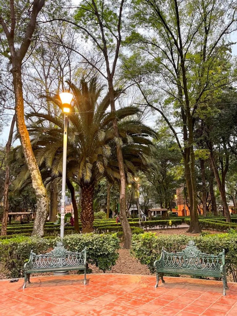 park benches at parque mexico in la condesa in mexico city