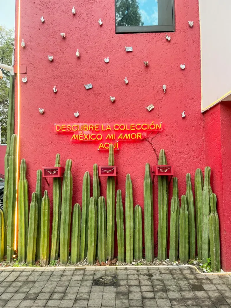hot pink wall with a line of cacti infront of it in polanco mexico city