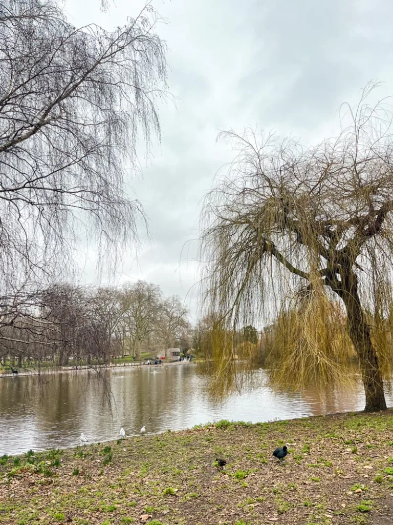 view of the lake at St James park in London